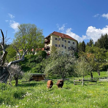 Hotel Landsitz Pichlschloss Neumarkt in Steiermark Exterior photo