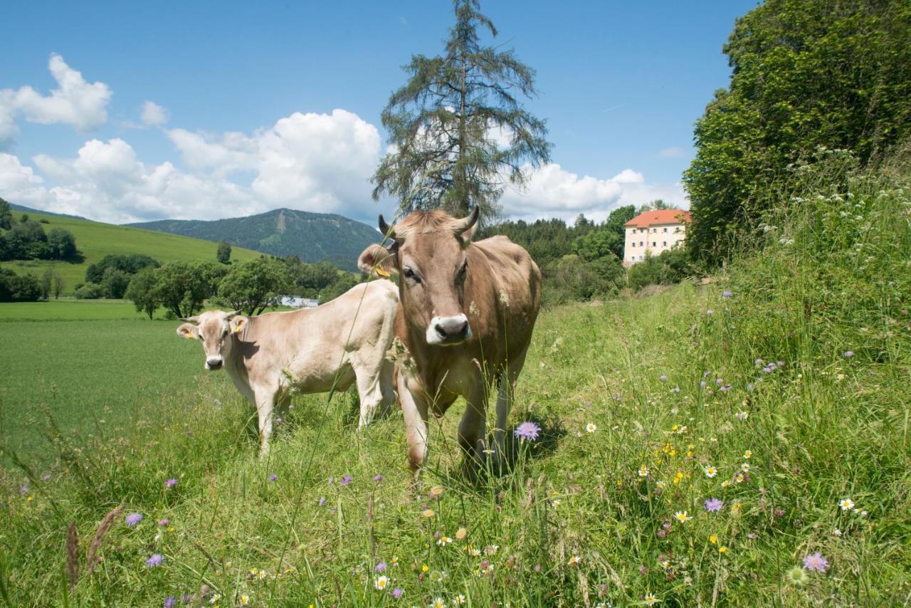 Hotel Landsitz Pichlschloss Neumarkt in Steiermark Exterior photo