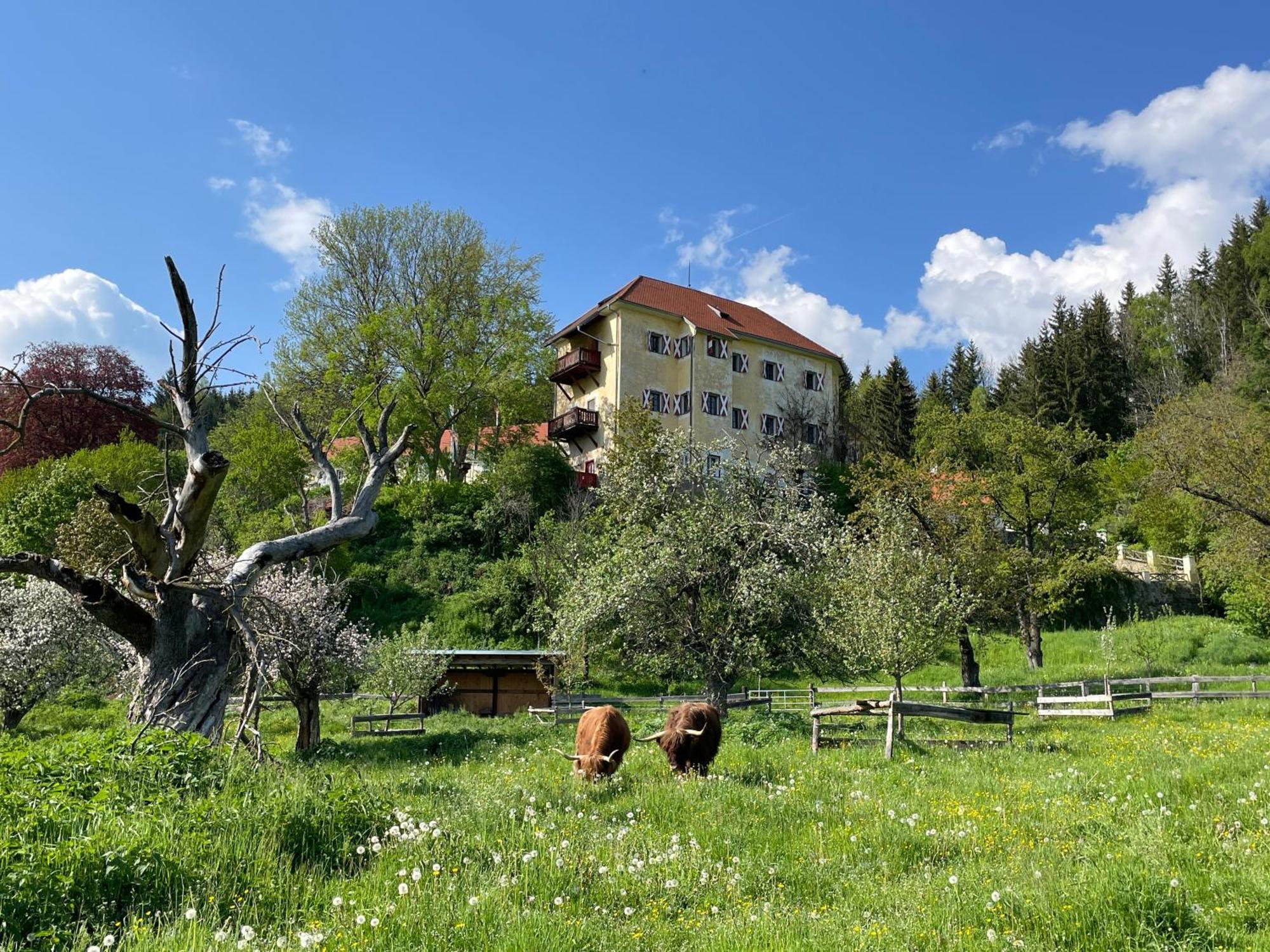 Hotel Landsitz Pichlschloss Neumarkt in Steiermark Exterior photo